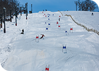 札幌藻岩山スキー場