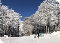 GALA湯沢スキー場