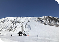 氷ノ山国際スキー場