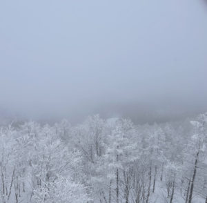 長野県/北安曇郡小谷村スキー場イメージ